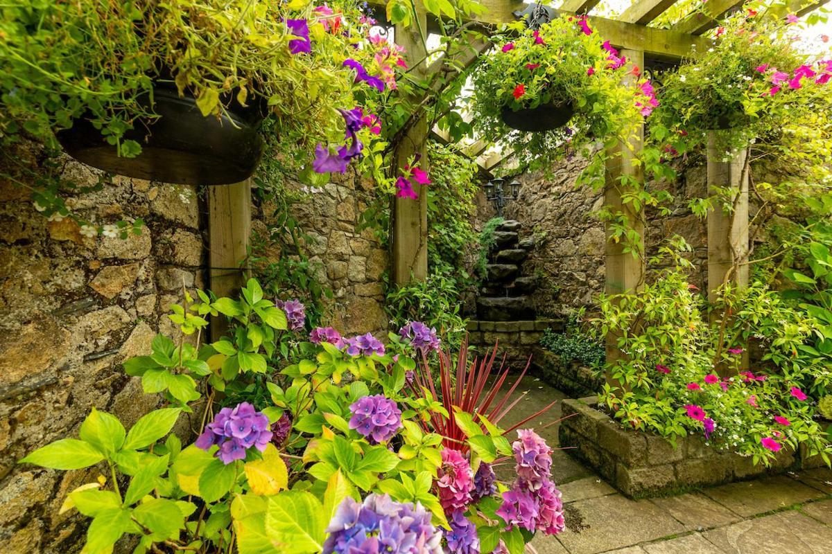 Step House Hotel Borris Dış mekan fotoğraf